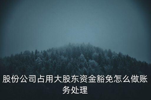 股份公司占用大股東資金豁免怎么做賬務處理