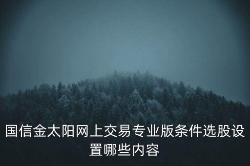 國(guó)信金太陽(yáng)網(wǎng)上交易專業(yè)版條件選股設(shè)置哪些內(nèi)容