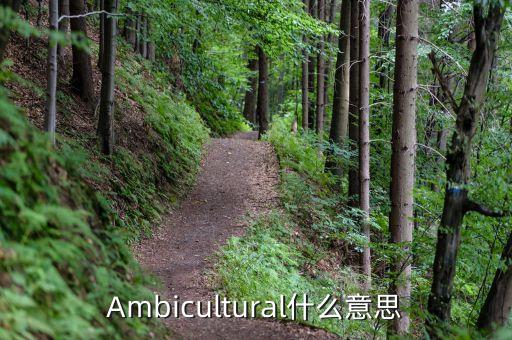 Ambicultural什么意思