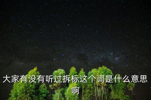 拆標(biāo)是什么意思，P2P平臺(tái)拆標(biāo)是什么意思