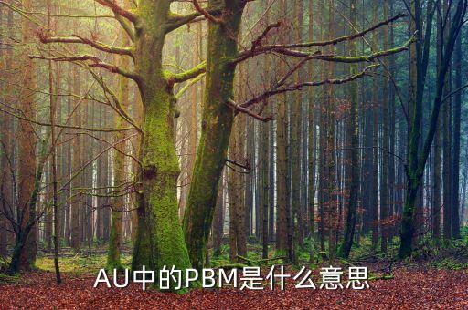 AU中的PBM是什么意思