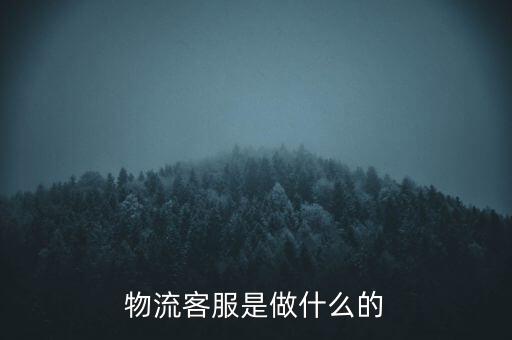 物流客服是做什么的