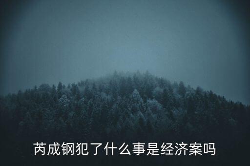 芮成鋼犯了什么事是經(jīng)濟案嗎