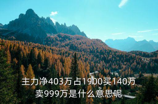 主力凈占比是什么意思，主力凈403萬占1900買140萬賣999萬是什么意思呢