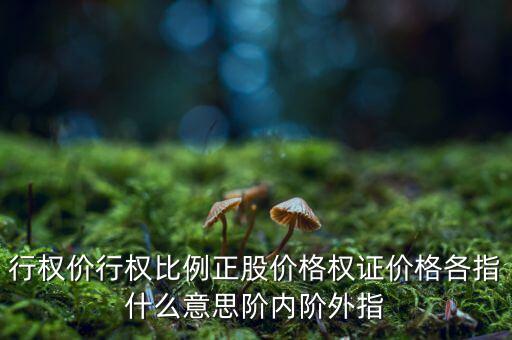 行權價行權比例正股價格權證價格各指什么意思階內(nèi)階外指