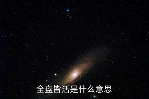 全盤皆活是什么意思