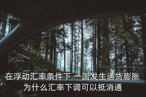 在浮動匯率條件下 一國發(fā)生通貨膨脹為什么匯率下調(diào)可以抵消通