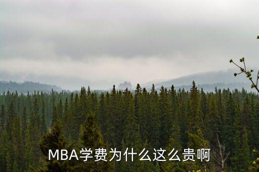 MBA學(xué)費(fèi)為什么這么貴啊