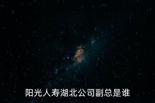 陽光人壽湖北公司副總是誰