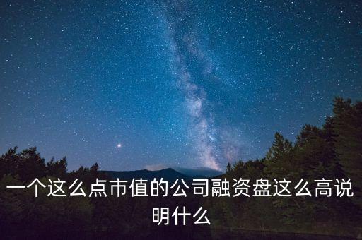 一個(gè)這么點(diǎn)市值的公司融資盤這么高說明什么