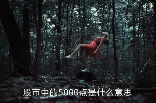 股市中的5000點是什么意思