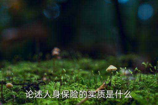 什么是實質(zhì)保障，論述人身保險的實質(zhì)是什么