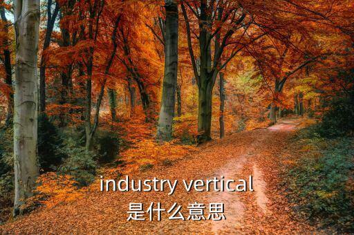 industry vertical是什么意思