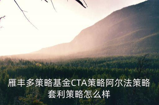 雁豐多策略基金CTA策略阿爾法策略套利策略怎么樣