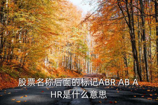 股票abr什么意思，RENJIALIRenJiaLiR是甚么意思