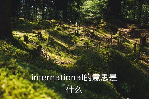 international的意思是什么