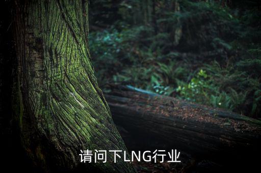 請(qǐng)問(wèn)下LNG行業(yè)