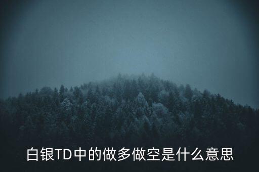 白銀TD中的做多做空是什么意思