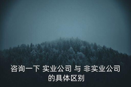 咨詢(xún)一下 實(shí)業(yè)公司 與 非實(shí)業(yè)公司 的具體區(qū)別