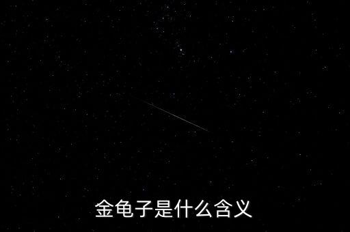 金龜子是什么含義