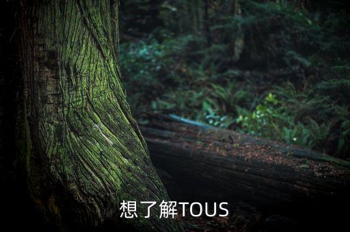 想了解TOUS