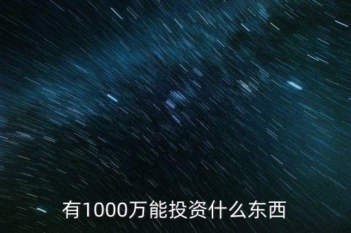 1000萬(wàn)投資什么好，有1000萬(wàn)能投資什么東西