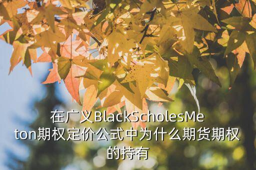 在廣義BlackScholesMeton期權(quán)定價公式中為什么期貨期權(quán)的持有