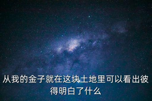 從我的金子就在這塊土地里可以看出彼得明白了什么