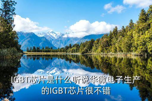 igbt芯片是什么，IGBT是什么