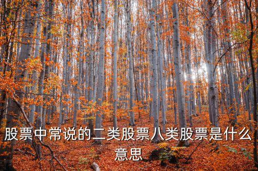 八類股指什么，怎樣區(qū)分二類個股和八類個股