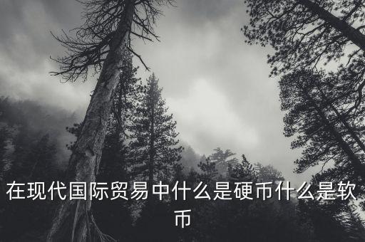 在現(xiàn)代國際貿(mào)易中什么是硬幣什么是軟幣