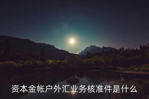 資本金帳戶(hù)外匯業(yè)務(wù)核準(zhǔn)件是什么