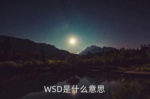 WSD是什么意思