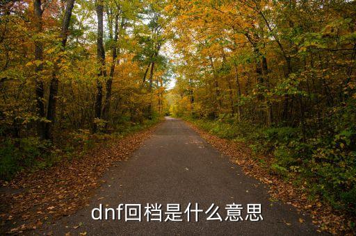 dnf回檔是什么意思