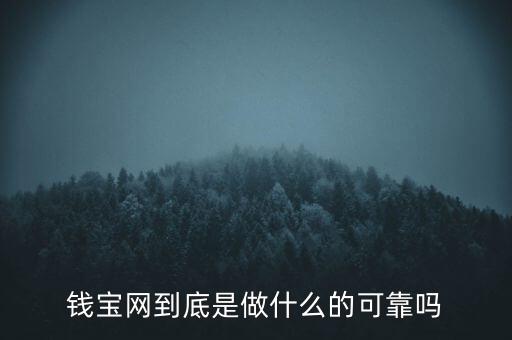 錢(qián)寶網(wǎng)到底是做什么的可靠嗎