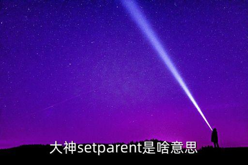 大神setparent是啥意思