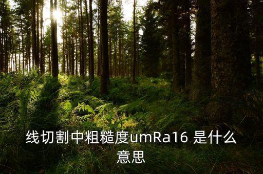 mir162是什么，線切割中粗糙度umRa16 是什么意思