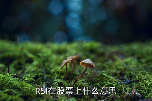 RSI在股票上什么意思