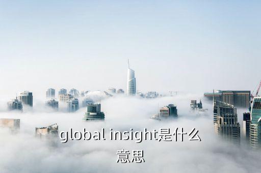 global insight是什么意思