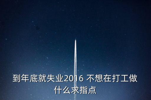 2016失業(yè)潮做些什么，到年底就失業(yè)2016 不想在打工做什么求指點