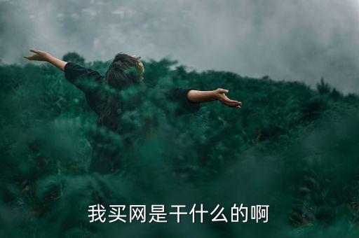 寧高寧為什么離開中糧，誰知道中糧寧高寧啊