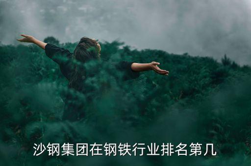 沙鋼是什么，沙鋼集團(tuán)在鋼鐵行業(yè)排名第幾