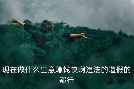 現(xiàn)在做什么生意賺錢快啊違法的造假的都行