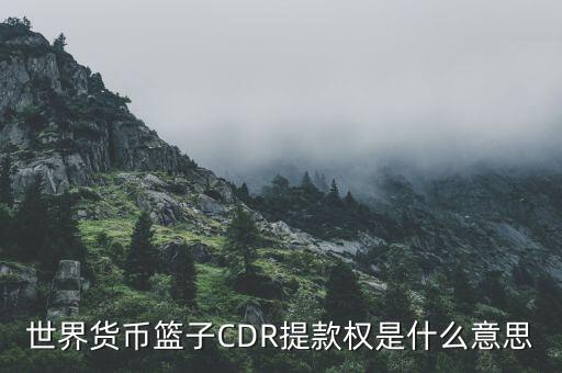 世界貨幣籃子CDR提款權(quán)是什么意思