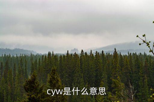 cyw是什么意思