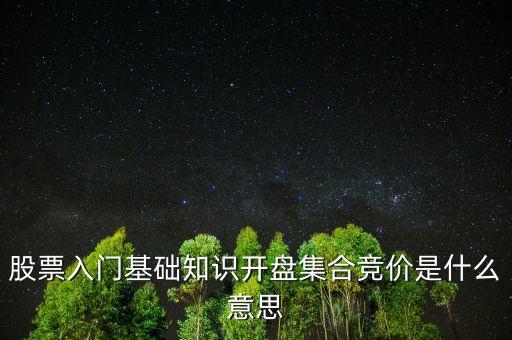 股票入門基礎(chǔ)知識開盤集合競價是什么意思