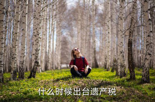 什么時(shí)候出臺(tái)遺產(chǎn)稅