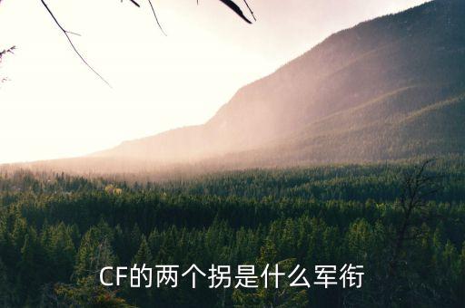 CF的兩個(gè)拐是什么軍銜