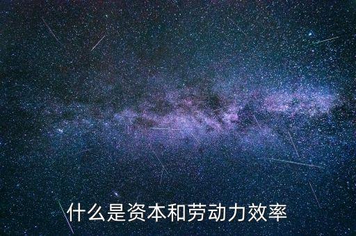 什么是資本效率，什么是資本市場(chǎng)效率