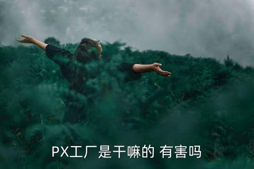 PX工廠是干嘛的 有害嗎